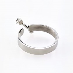 Roestvrij Stalen Ring met Piercing-Design