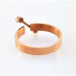Roségoudkleurig Roestvrij Stalen Ring met Piercing-Design
