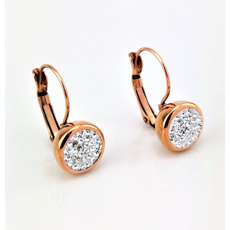 Roségoudkleurig Roestvrijstalen Klap Oorbellen met Strass steentjes Roségoudkleurig Roestvrijstalen Klap Oorbellen met Strass steentjes