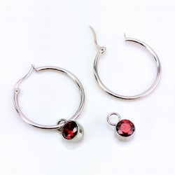 ∅30mm Smalle Oorringen Dames - Roestvrij Stalen - Oorbellen met Rode Zikonia