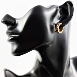 19mm Goudkleurige RVS Oorringen met Zirkonia's