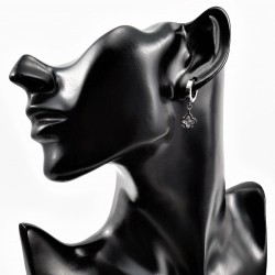 Titanium Oorringen met Klaverblad-Zirkonia Hanger