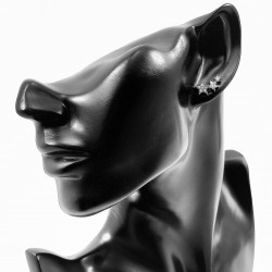 RVS Oorbel met Twee Sterren - Oor Helix - Tragus Kraakbeen