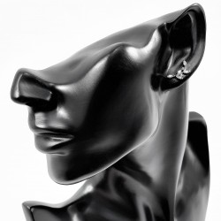 RVS Bladen Oorbel - Oor Helix - Tragus Kraakbeen