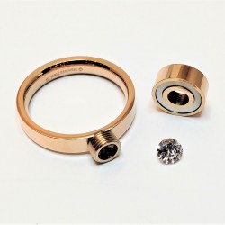 Roségoudkleurige Stalen Ring met Verwisselbaar-Zirkonia