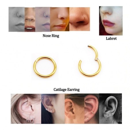 (1.2mm) RVS Goudkleurige Segment Ring - Lip Kraakbeen - Oor Helix