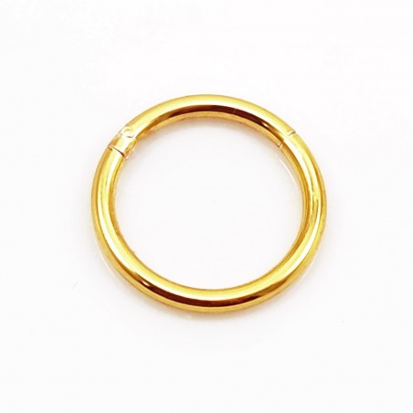 (1.2mm) RVS Goudkleurige Segment Ring - Lip Kraakbeen - Oor Helix