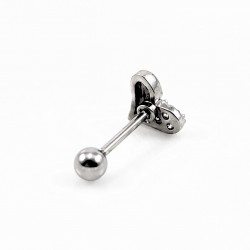 RVS Hart Oorbel - Helix Oorpiercing - Tragus - Kraakbeen