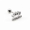 RVS Kroon Oorpiercing - Tragus - Kraakbeen - Helix