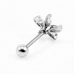 RVS Ster-Oorbel - Tragus - Kraakbeen - Helixpiercing