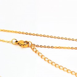Goudkleurige RVS Kleine Identificatieplaat + Ketting