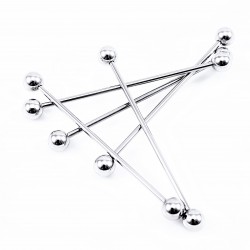 Zilverkleurige Stalen Industrial Barbell