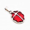 Roestvrij Stalen Ketting + Ovale Rode Hanger