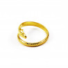 Verstelbare Stalen Dames Slangen Ring Gold Plated
