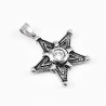 Dames - Heren Stalen Pentagram Hanger met Witte Zirkonia