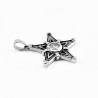 Dames - Heren Stalen Pentagram Hanger met Witte Zirkonia