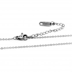 Dames zilverkleurige RVS Ketting met Hart