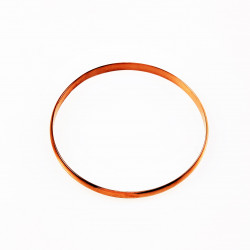 Roségouden RVS Dames Klassieke Bangle Armband