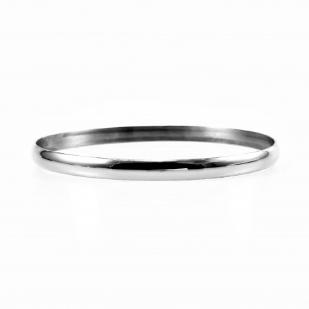 Klassieke RVS Zilverkluer Dames Bangle Armband