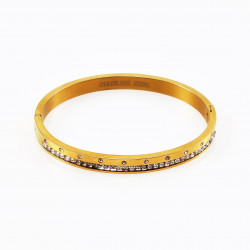 Dames Slavenarmband goudkleurige Roestvrij Stalen Bangle