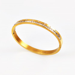 Dames Slavenarmband goudkleurige Roestvrij Stalen Bangle