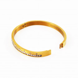 Dames Slavenarmband goudkleurige Roestvrij Stalen Bangle