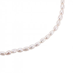 Dottilove Zoetwaterparels Ketting - RVS Gold Plated - Parel Collier - Dames Parel Choker