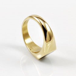Zegelring Unisex - Stalen Goudkleur - Ring met Zwart Emaille