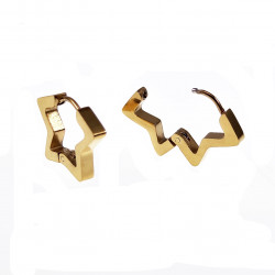 Ster Oorbellen Unisex Stalen Goud Kleur Orringen