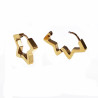 Ster Oorbellen Unisex Stalen Goud Kleur Orringen