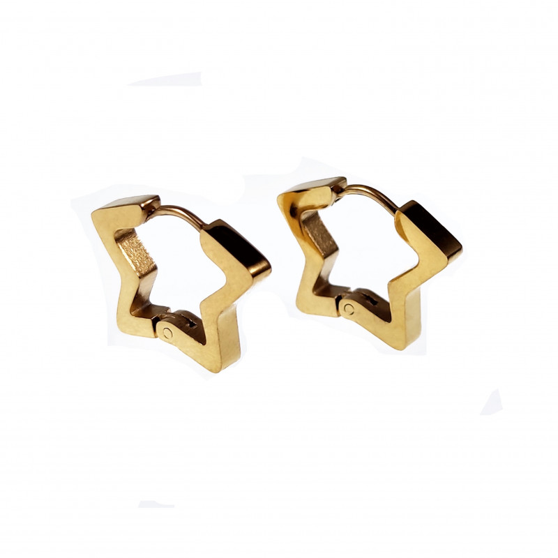 Ster Oorbellen Unisex Stalen Goud Kleur Orringen Ster Oorbellen Unisex Stalen Goud Kleur Orringen