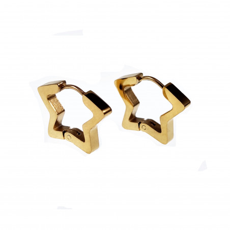 Ster Oorbellen Unisex Stalen Goud Kleur Orringen