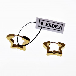 Ster Oorbellen Unisex Stalen Goud Kleur Orringen