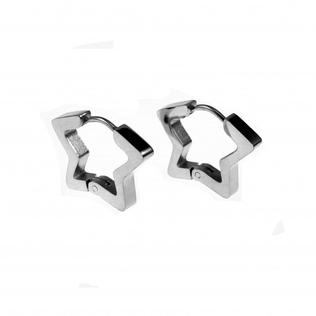 Ster Oorbellen Unisex Stalen Zilver Kleur Orringen