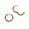 ∅12mm x 2,5mm Oorringen Unisex - Stalen Goud Kleur - Ronde Oorbellen