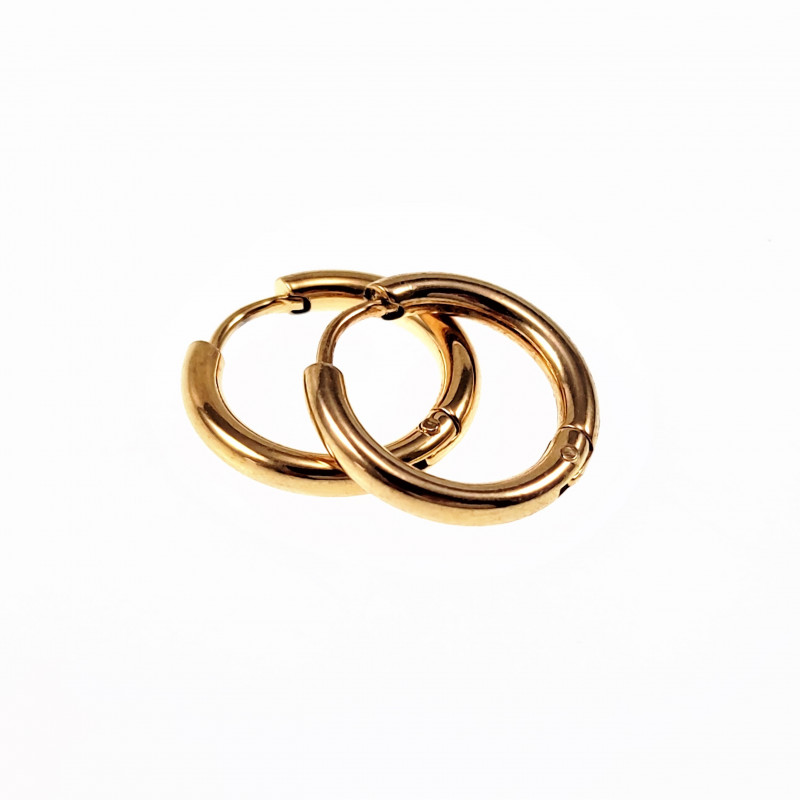 ∅12mm x 2,5mm Oorringen Unisex - Stalen Goud Kleur - Ronde Oorbellen