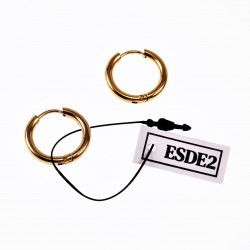 Ø12mm x 2,5mm Oorringen Unisex - Stalen Goudkleur - Ronde Oorbellen