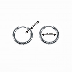 Ø12mm x 2,5mm Oorringen Unisex - Stalen Zilverkleur - Ronde Oorbellen