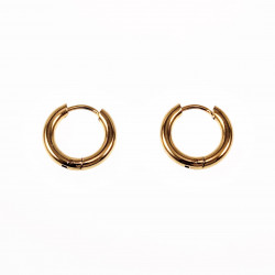 ∅10mm x 2,5mm Oorringen Unisex - Stalen Goud Kleur - Ronde Oorbellen