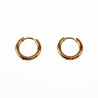 ∅10mm x 2,5mm Oorringen Unisex - Stalen Goud Kleur - Ronde Oorbellen