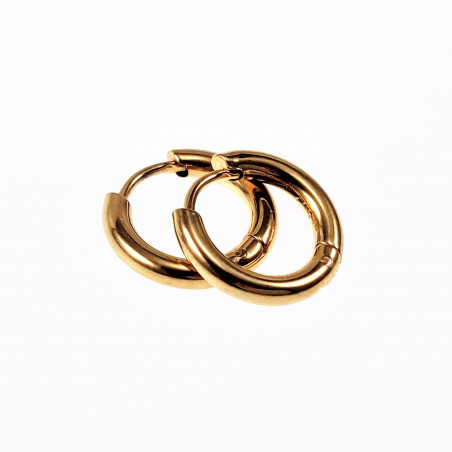 ∅10mm x 2,5mm Oorringen Unisex - Stalen Goud Kleur - Ronde Oorbellen