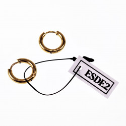 ∅10mm x 2,5mm Oorringen Unisex - Stalen Goud Kleur - Ronde Oorbellen