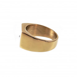 Zegelring Heren Stalen Gepolijst Goud Kleur Ring met Zirkonia Steen