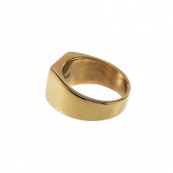 Zegelring Heren Stalen Gepolijst Goud Kleur Ring met Zirkonia Steen