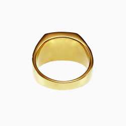RVS Zegelring Heren Stalen Goud Kleur Ring met Onyx