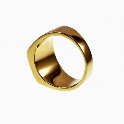 RVS Zegelring Heren Stalen Goud Kleur Ring met Onyx