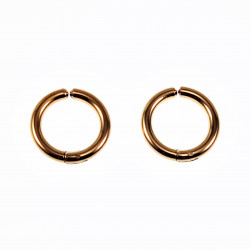 ∅16mm Klem Oorringen Dames...