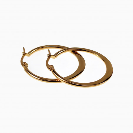 ∅30mm Oorbellen Dames Platte-Design Verguld Roestvrij Stalen Oorringen