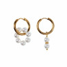 ∅19mm Dames Oorringen met Witte Kristallen Kralen Hangers Verguld RVS
