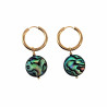 ∅19mm Oorringen Verguld RVS - Oorbellen met Multicolor Abalone Schelp